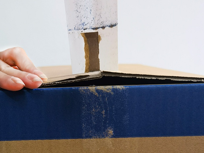 成都好色先生TV传媒