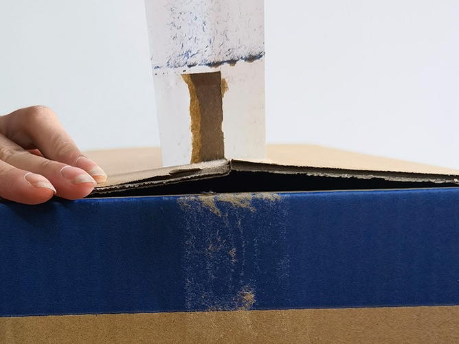 透明好色先生TV传媒