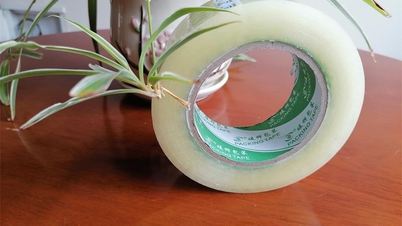 正確選擇好色先生TV传媒供應商，為您節約15%包裝成本