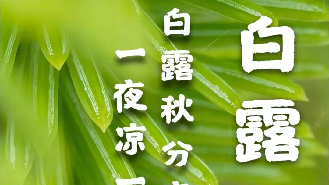 好色先生视频APP下载包裝好色先生TV传媒廠家：白露到，秋漸深