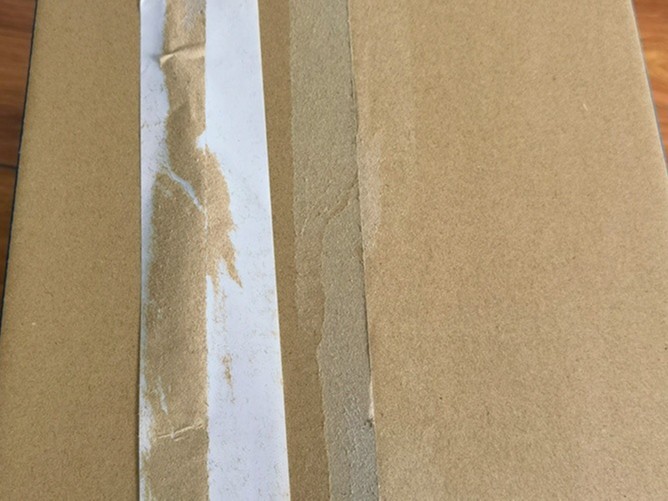 彩色黄色网站好色先生 彩色黄色网站好色先生