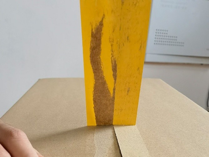 米黃黄色网站好色先生