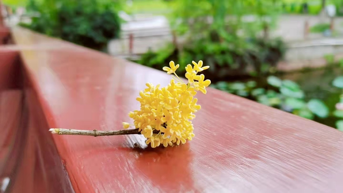 國慶快到了，趁空閑用透明好色先生TV传媒做些手工！