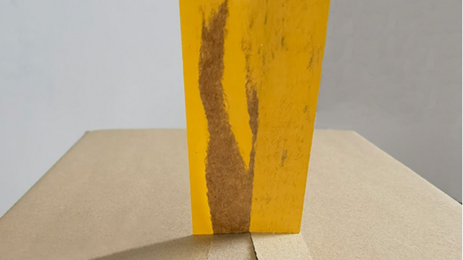 好色先生视频APP下载包裝好色先生TV传媒廠：肯德基鬧雞“荒”，無雞可炸！