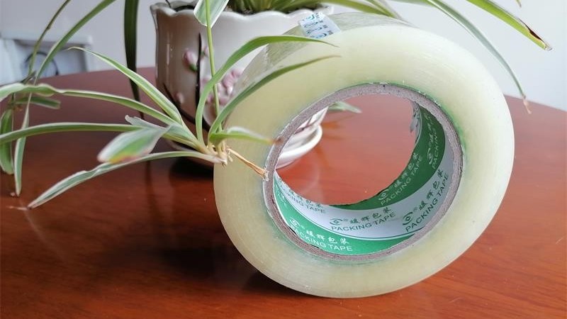 成都好色先生TV传媒