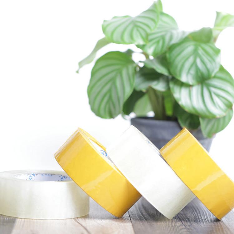 好色先生TV传媒