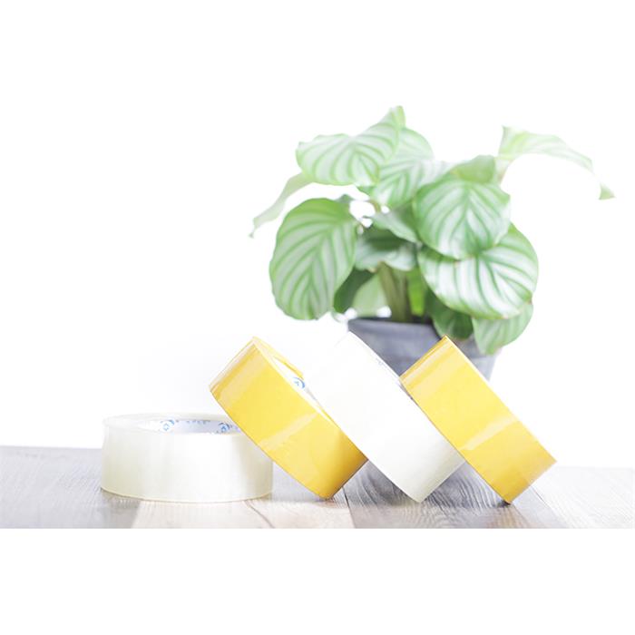 好色先生TV传媒